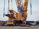 Picture for Plant; Liebherr 1,000 ton lift